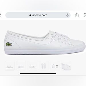 Lacoste Ziane Snickers - Great condition